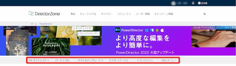 DirectorZone