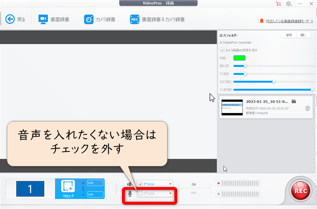 音声を入れたくない場合