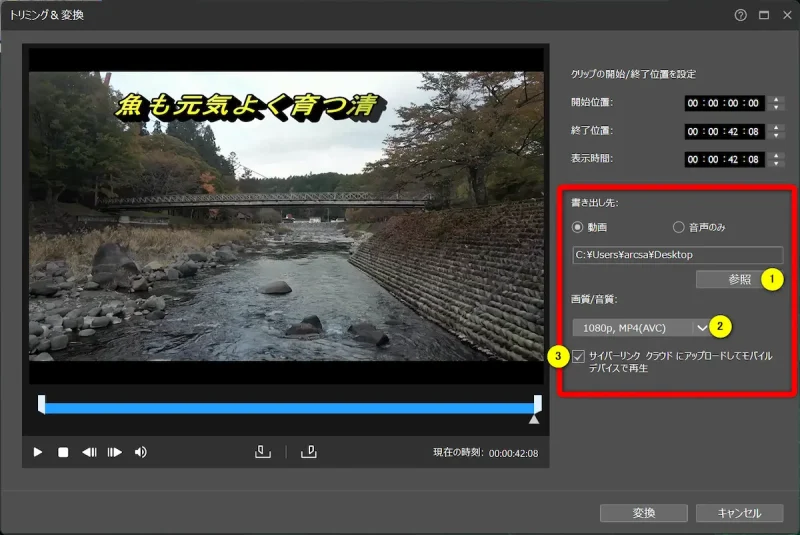 PowerDVDでMP4動画に変換する設定画面