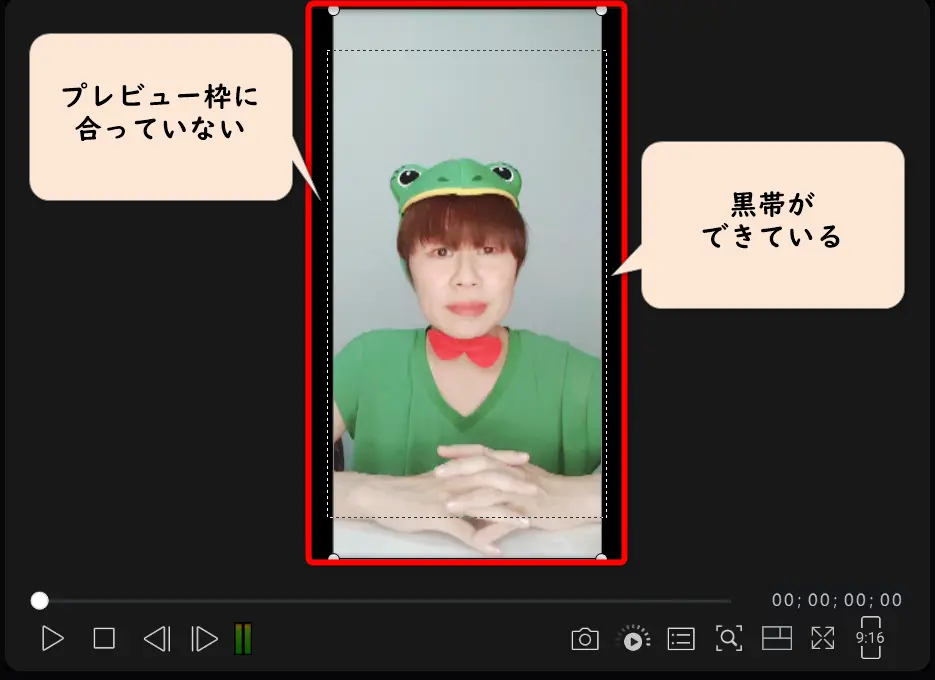 PowerDirectorプレビュー画面の画像