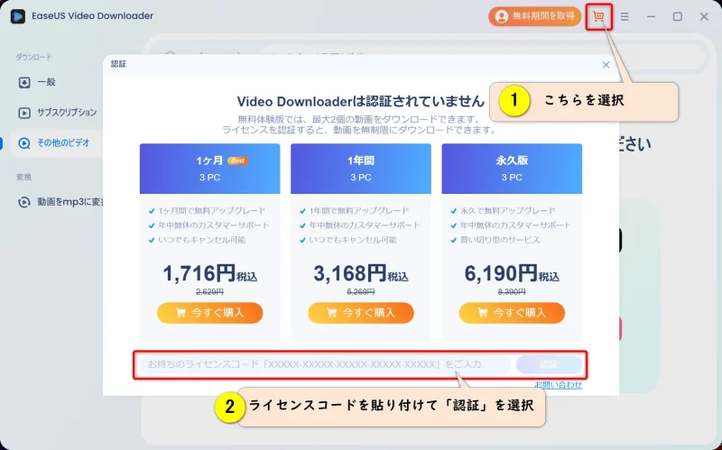 EaseUS Video Downloaderの画面